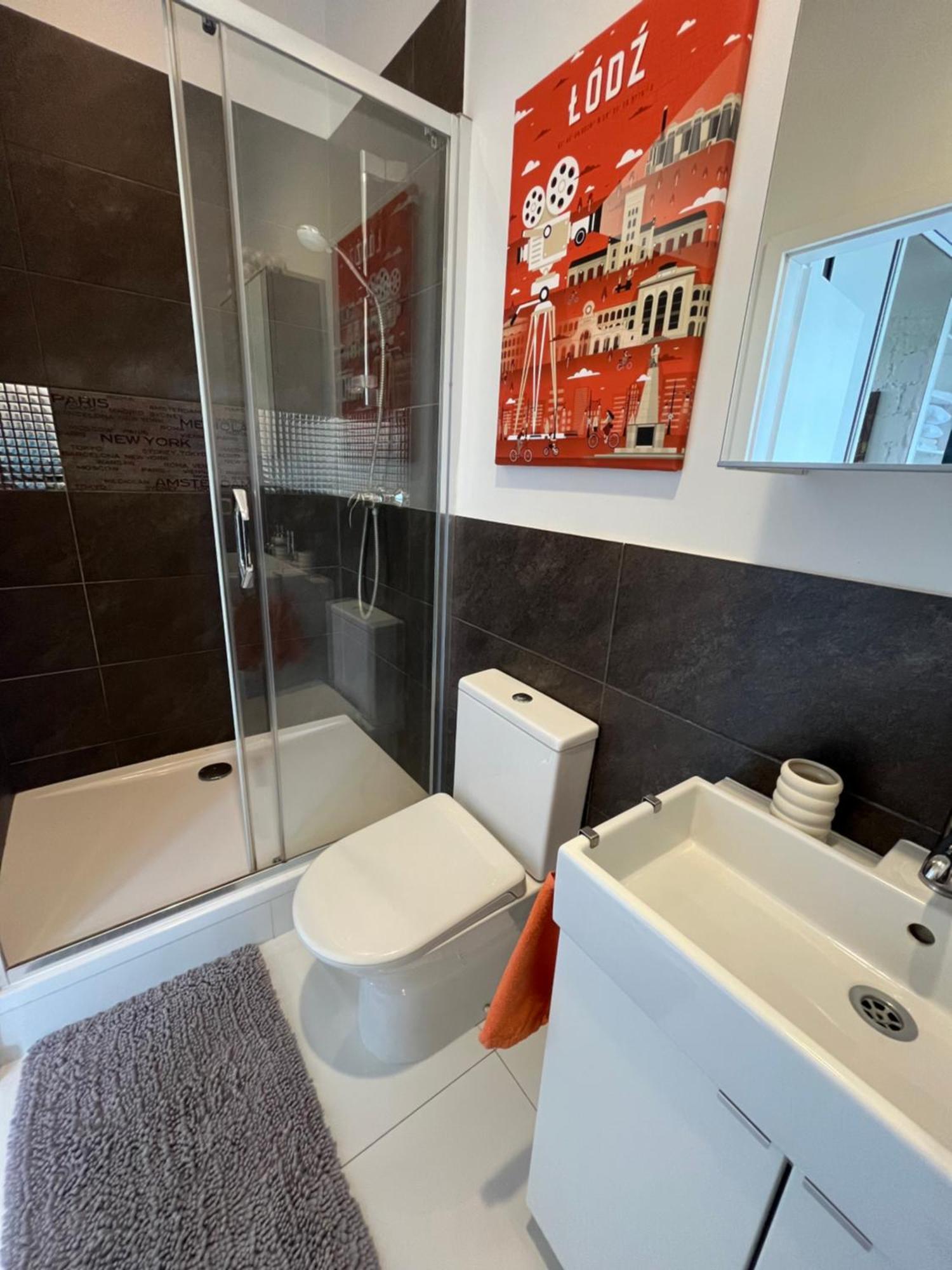 I Piotrkowska Z Wielkim Lustrem, Balkonem I Klimatyzacja Apartment Lodz (Lodz)